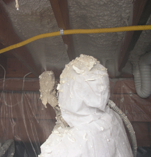 Quebec City QC crawl space insulation